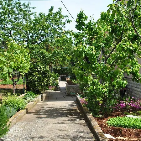 Apartment Dragica *