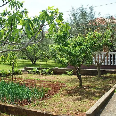 Apartment Dragica *